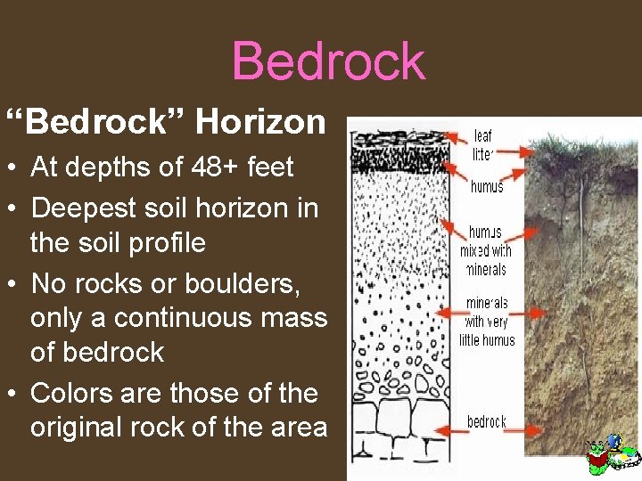 Bedrock “Bedrock” Horizon • At depths of 48+ feet • Deepest soil horizon in