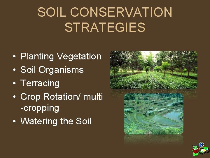 SOIL CONSERVATION STRATEGIES • • Planting Vegetation Soil Organisms Terracing Crop Rotation/ multi -cropping