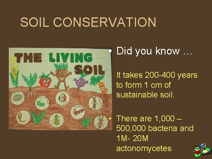 SOIL CONSERVATION • Did you know … It takes 200 -400 years to form
