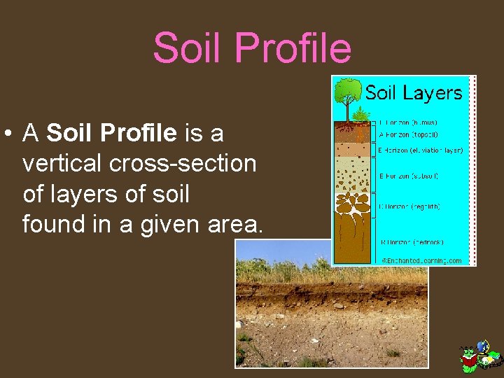 Soil Profile • A Soil Profile is a vertical cross-section of layers of soil