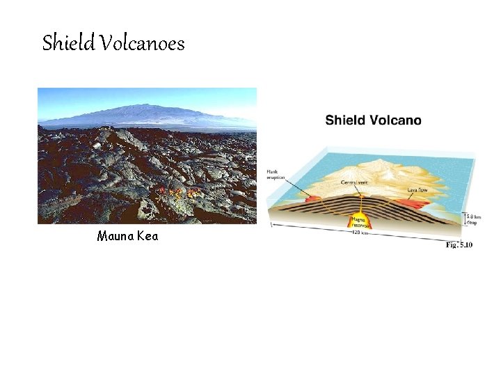 Shield Volcanoes Mauna Kea 