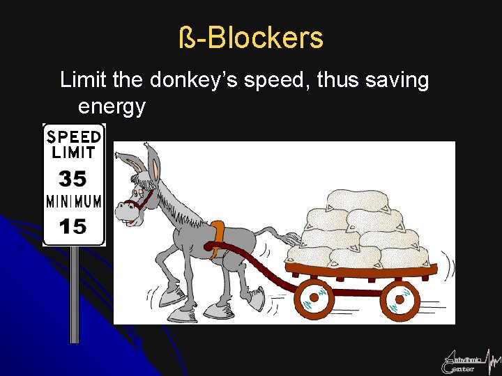 ß-Blockers Limit the donkey’s speed, thus saving energy 
