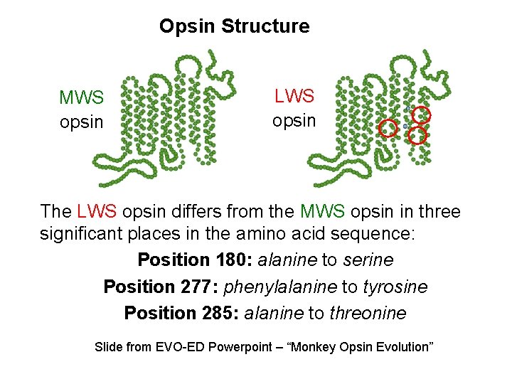 Opsyn Case It An Effective Tool for Casebased Learning