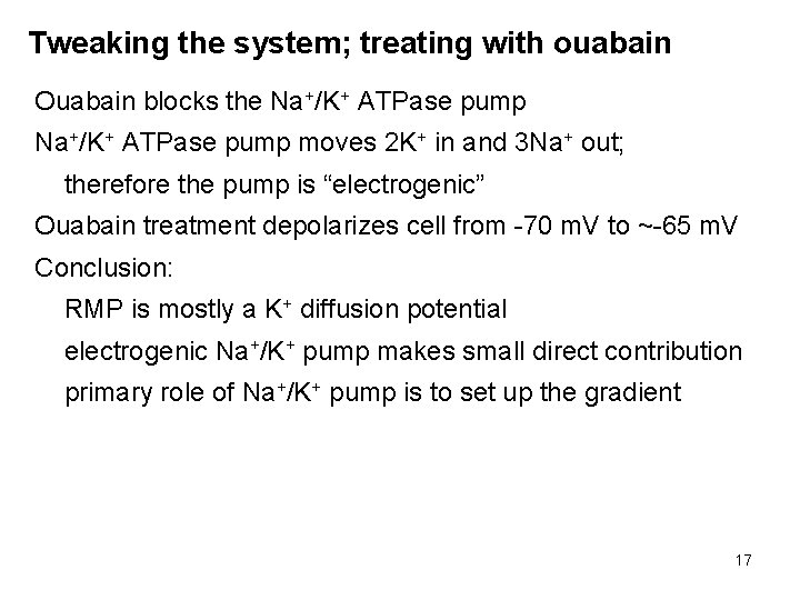 Tweaking the system; treating with ouabain Ouabain blocks the Na+/K+ ATPase pump moves 2