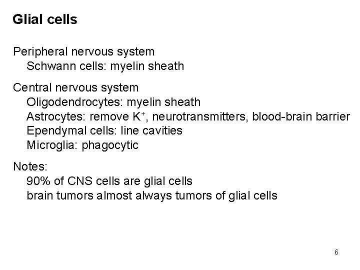 Glial cells Peripheral nervous system Schwann cells: myelin sheath Central nervous system Oligodendrocytes: myelin