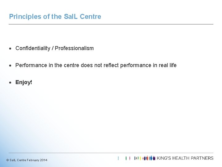 Principles of the Sa. IL Centre · Confidentiality / Professionalism · Performance in the