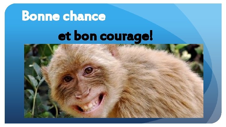 Bonne chance et bon courage! 