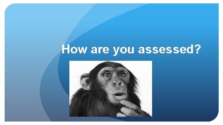 How are you assessed? 