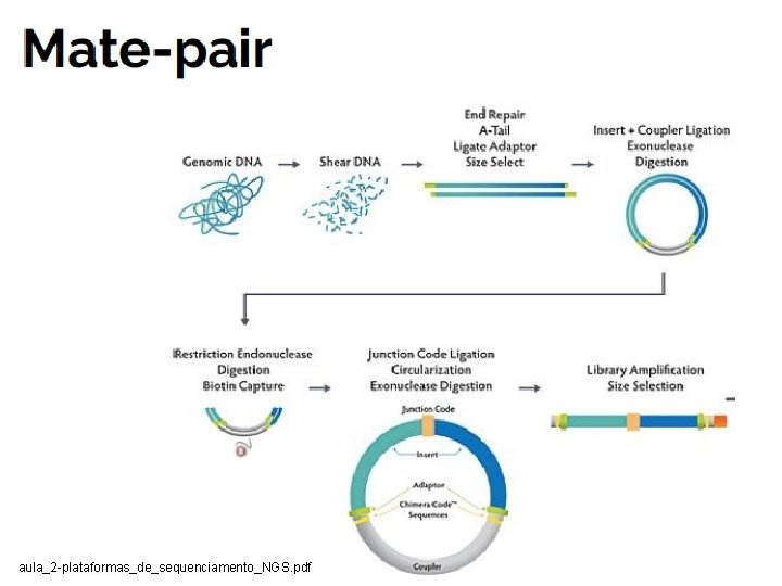 aula_2 -plataformas_de_sequenciamento_NGS. pdf 