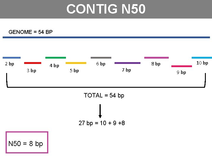 CONTIG N 50 GENOME = 54 BP 2 bp 3 bp 4 bp 6