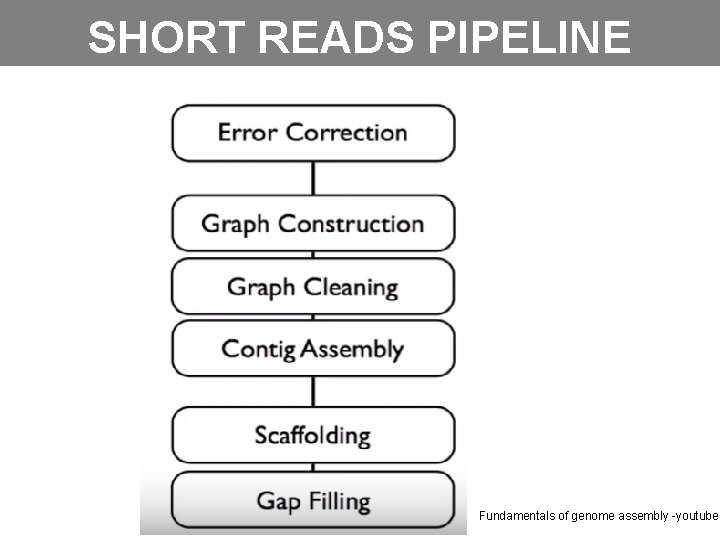 SHORT READS PIPELINE Fundamentals of genome assembly -youtube 