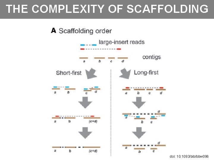 THE COMPLEXITY OF SCAFFOLDING doi: 10. 1093/bib/bbw 096 