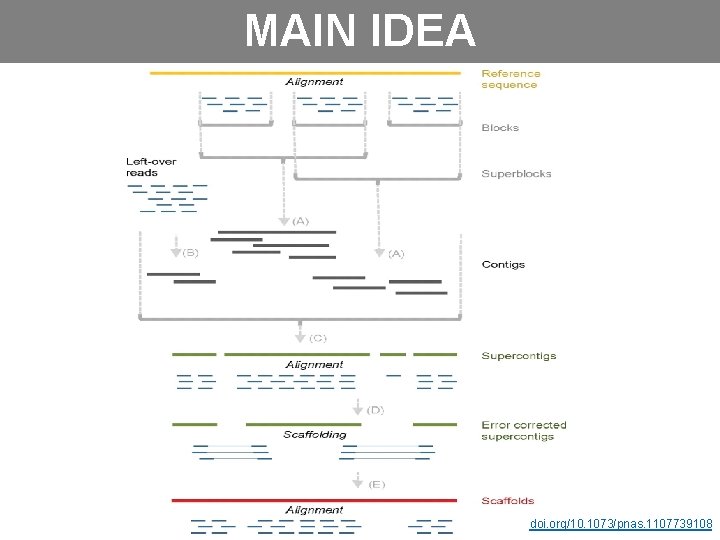 MAIN IDEA doi. org/10. 1073/pnas. 1107739108 