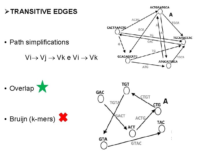 ØTRANSITIVE EDGES • Path simplifications Vi Vj Vk e Vi Vk • Overlap •