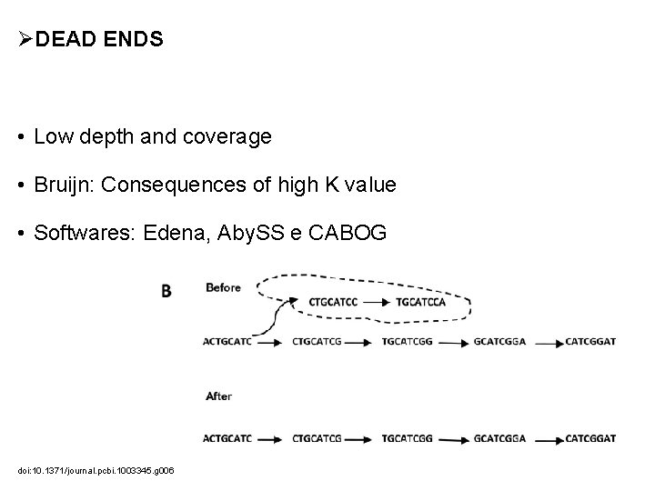 ØDEAD ENDS • Low depth and coverage • Bruijn: Consequences of high K value