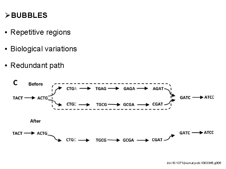 ØBUBBLES • Repetitive regions • Biological variations • Redundant path doi: 10. 1371/journal. pcbi.