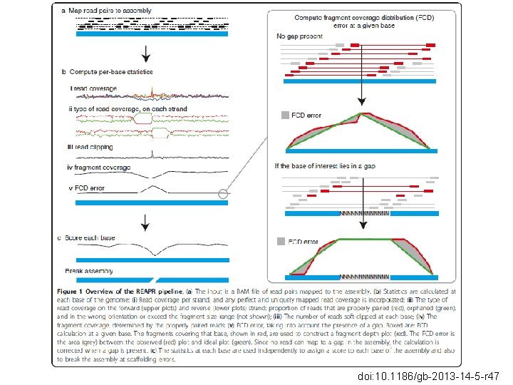 doi: 10. 1186/gb-2013 -14 -5 -r 47 