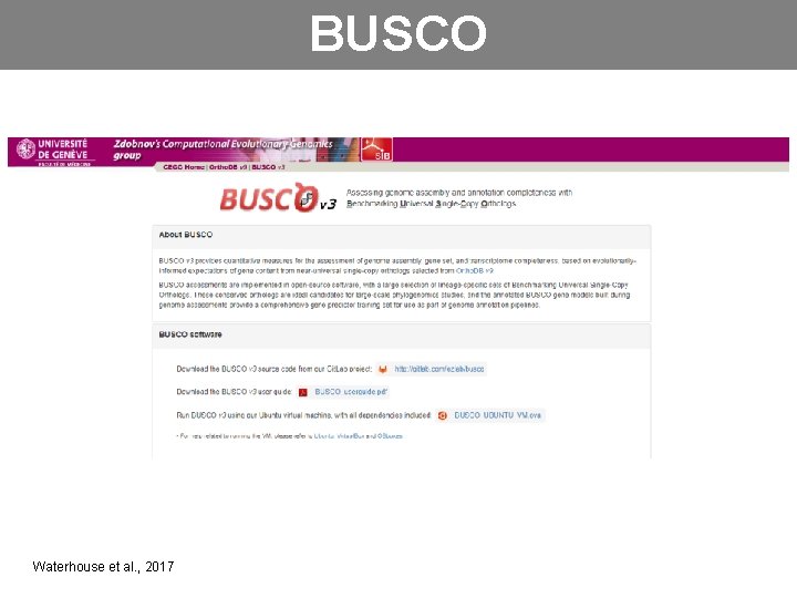 BUSCO Waterhouse et al. , 2017 