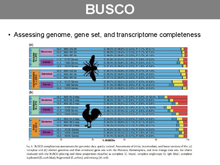 BUSCO • Assessing genome, gene set, and transcriptome completeness 