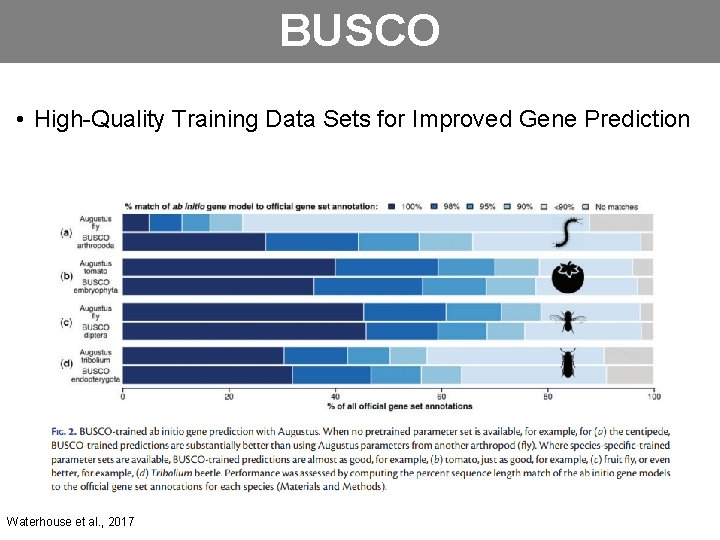 BUSCO • High-Quality Training Data Sets for Improved Gene Prediction Waterhouse et al. ,