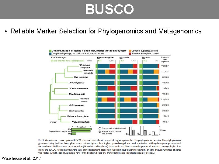 BUSCO • Reliable Marker Selection for Phylogenomics and Metagenomics Waterhouse et al. , 2017