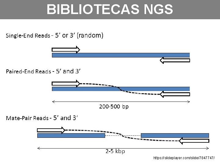 BIBLIOTECAS NGS https: //slideplayer. com/slide/7847747/ 