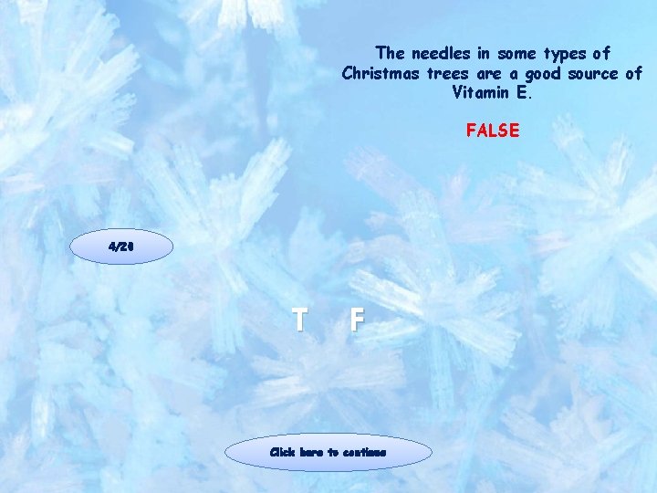 The needles in some types of Christmas trees are a good source of Vitamin The needles in some types of Christmas trees are a good source of Vitamin