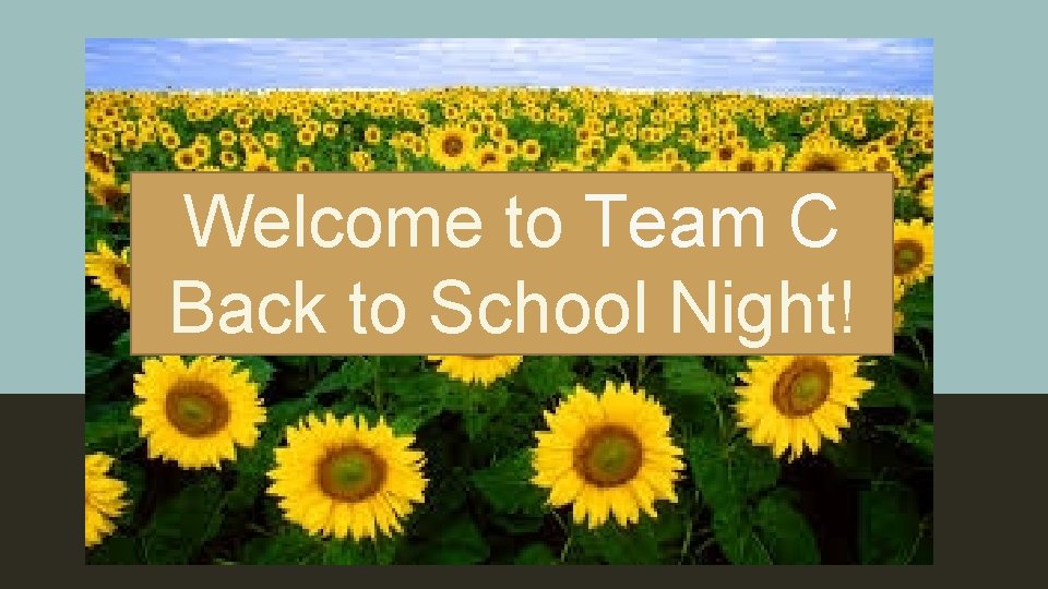 Welcome to Team C Back to School Night! WELCOME TO 5 C 