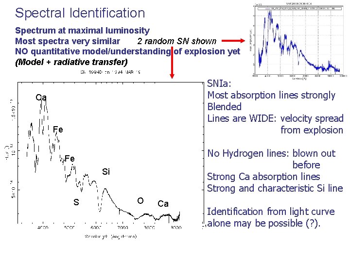 Spectral Identification Spectrum at maximal luminosity Most spectra very similar 2 random SN shown Spectral Identification Spectrum at maximal luminosity Most spectra very similar 2 random SN shown
