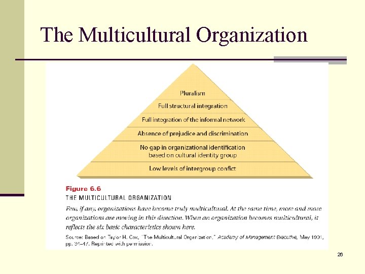 The Multicultural Organization 26 