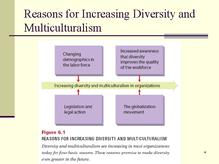 Reasons for Increasing Diversity and Multiculturalism 4 