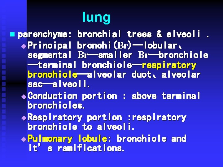 lung n parenchyma: bronchial trees & alveoli. u Principal bronchi(Br)—lobular、 segmental Br—smaller Br—bronchiole —terminal