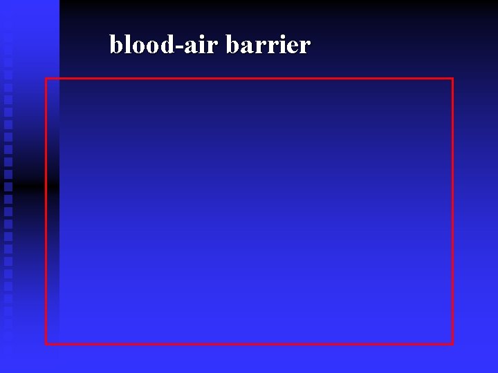 blood-air barrier blood-air barrier