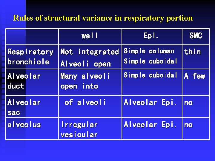 Rules of structural variance in respiratory portion wall Epi. SMC Respiratory Not integrated bronchiole Rules of structural variance in respiratory portion wall Epi. SMC Respiratory Not integrated bronchiole