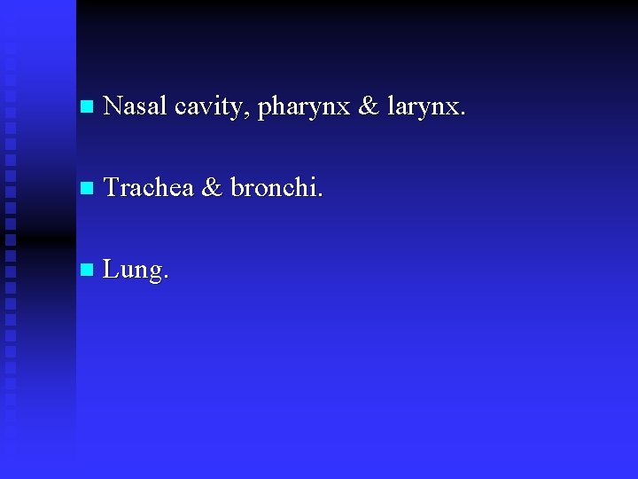 n Nasal cavity, pharynx & larynx. n Trachea & bronchi. n Lung. n Nasal cavity, pharynx & larynx. n Trachea & bronchi. n Lung.