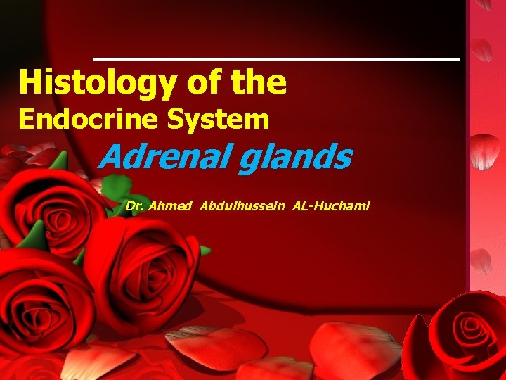 Histology of the Endocrine System Adrenal glands Dr. Ahmed Abdulhussein AL-Huchami 