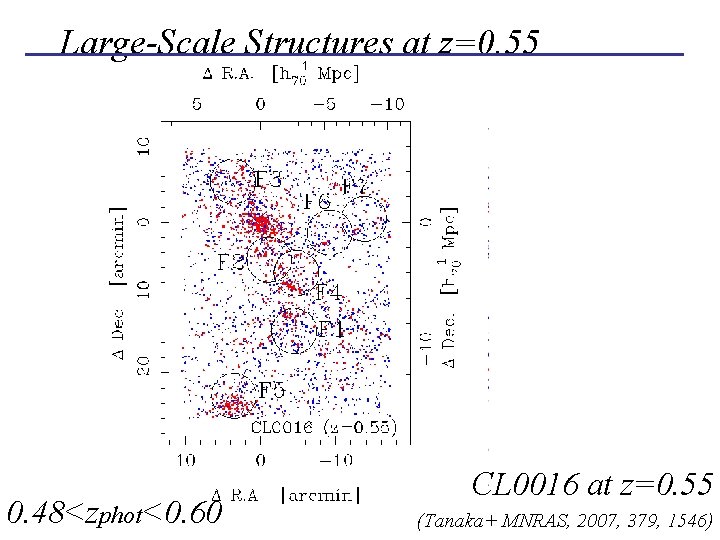 Large-Scale Structures at z=0. 55 ~70, 700 objects ~3, 600 objects 0. 48<zphot<0. 60