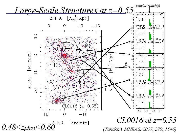 Large-Scale Structures at z=0. 55 cluster redshift ~3, 600 objects 0. 48<zphot<0. 60 CL