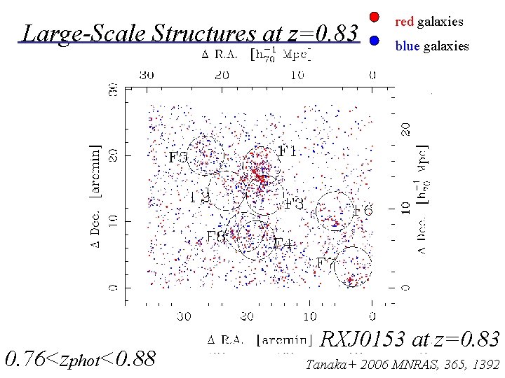 Large-Scale Structures at z=0. 83 0. 76<zphot<0. 88 red galaxies blue galaxies RXJ 0153