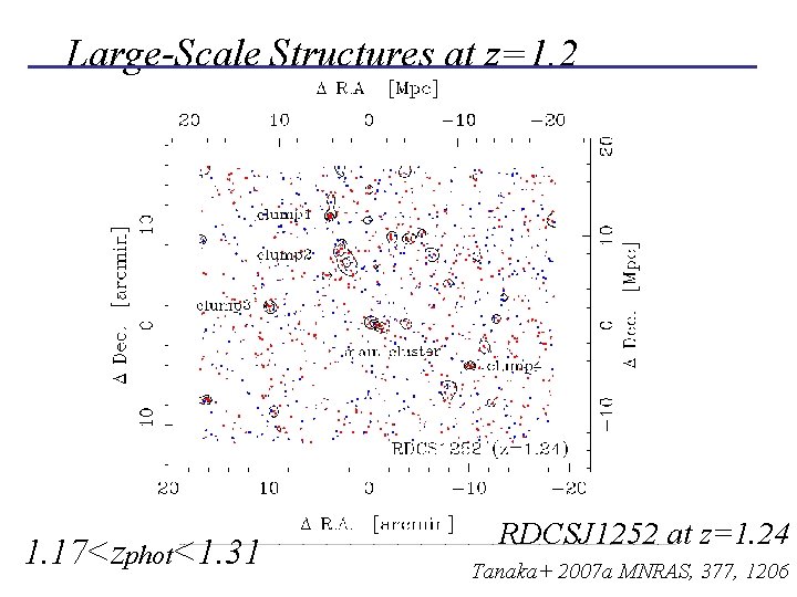 Large-Scale Structures at z=1. 2 1. 17<zphot<1. 31 RDCSJ 1252 at z=1. 24 Tanaka+