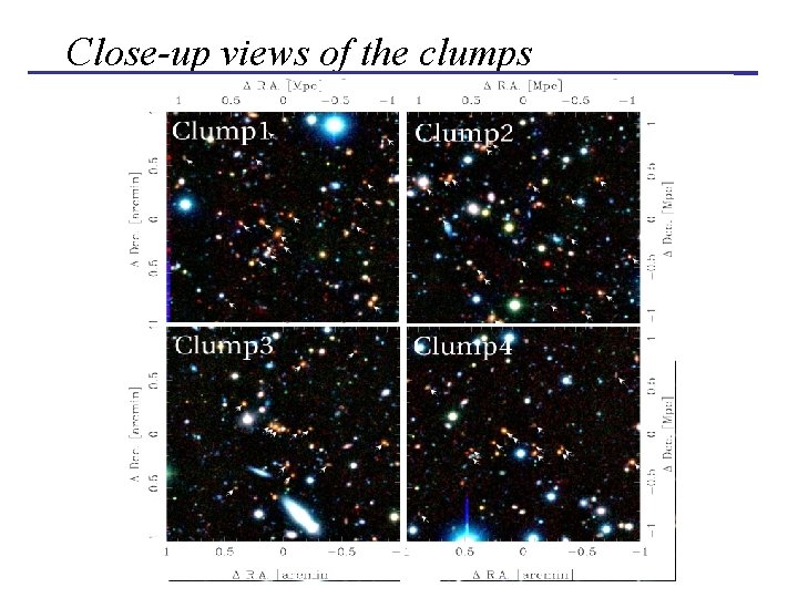 Close-up views of the clumps 