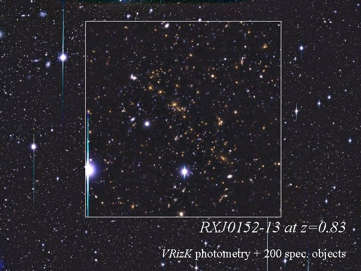 RXJ 0152 -13 at z=0. 83 VRiz. K photometry + 200 spec. objects 