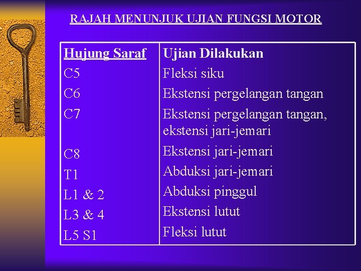 RAJAH MENUNJUK UJIAN FUNGSI MOTOR Hujung Saraf C 5 C 6 C 7 C RAJAH MENUNJUK UJIAN FUNGSI MOTOR Hujung Saraf C 5 C 6 C 7 C