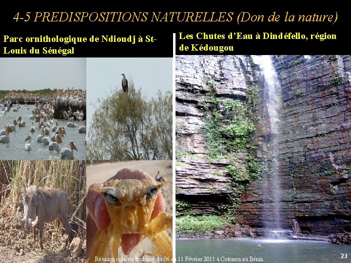 4 -5 PREDISPOSITIONS NATURELLES (Don de la nature) Parc ornithologique de Ndioudj à St.