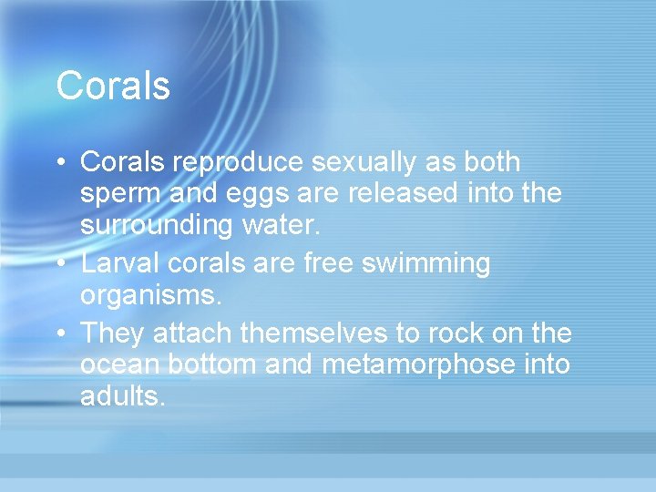 Corals • Corals reproduce sexually as both sperm and eggs are released into the