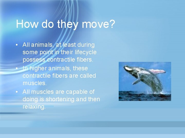 How do they move? • All animals, at least during some point in their