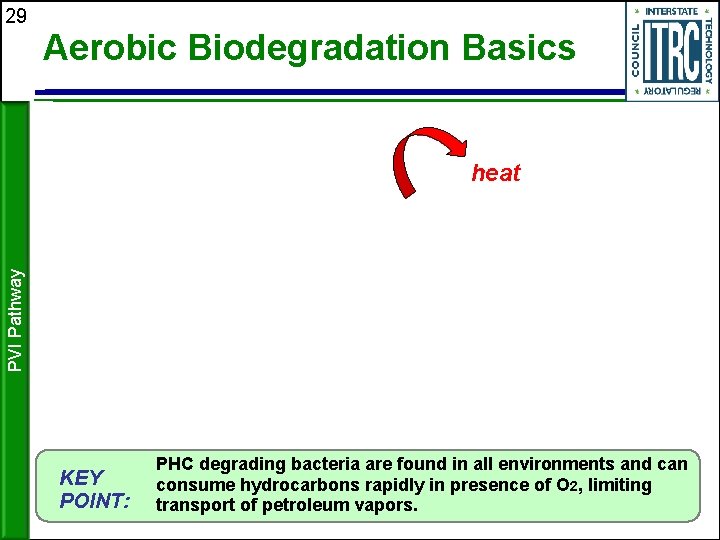 29 Aerobic Biodegradation Basics PVI Pathway heat Many bacteria KEY POINT: PHC degrading bacteria
