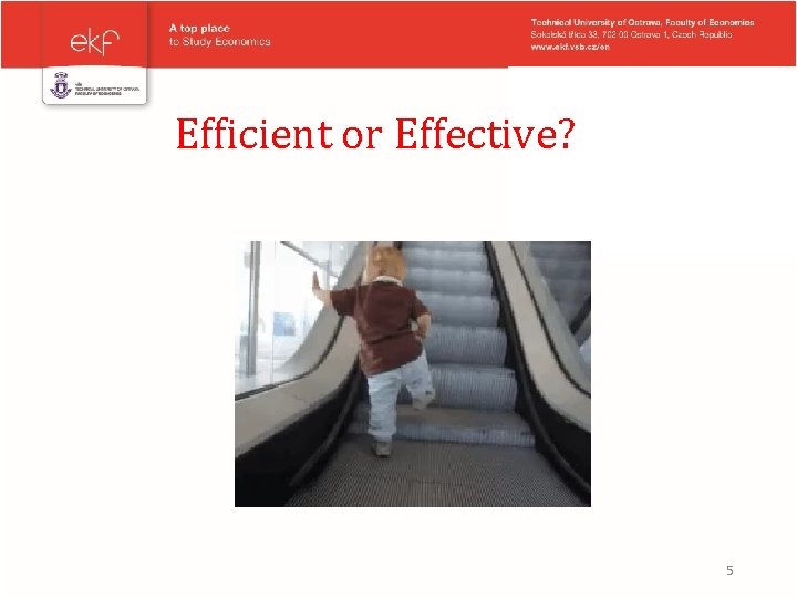 Efficient or Effective? 5 