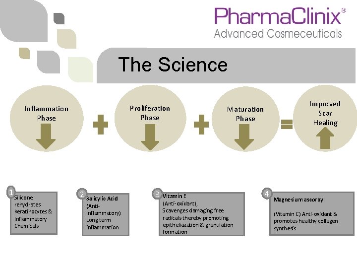 The Science Proliferation Phase Inflammation Phase 1 Silicone rehydrates keratinocytes & Inflammatory Chemicals 2