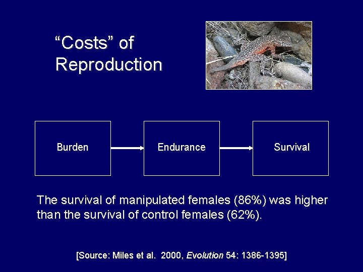 “Costs” of Reproduction Burden Endurance Survival The survival of manipulated females (86%) was higher